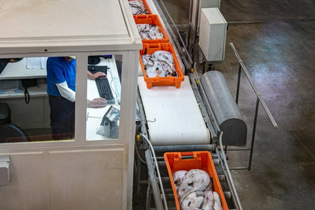 Products moving along a factory conveyor